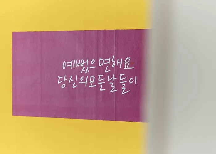 지미 *